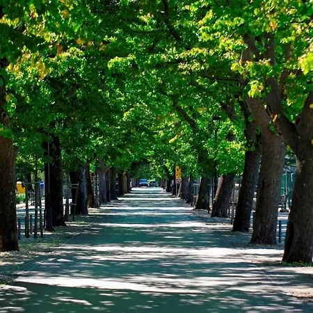 House Vira By Guide *