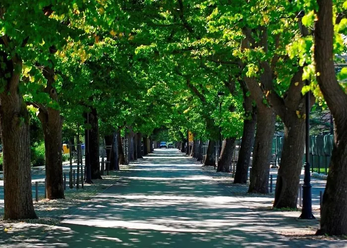 House Vira By Guide *